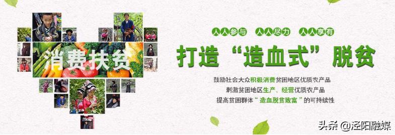 泾阳消费扶贫,泾阳茯茶扶贫