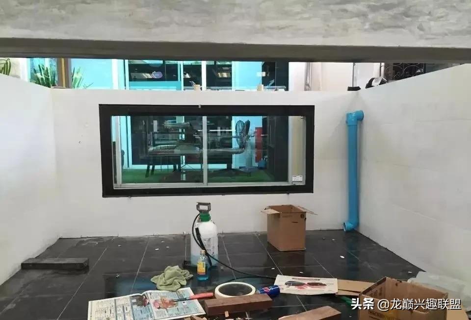 国外某熊孩子把龙鱼吓脱臼了