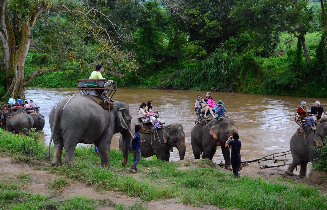 泰国如何给小费合理,在泰国教你如何在酒吧给小费