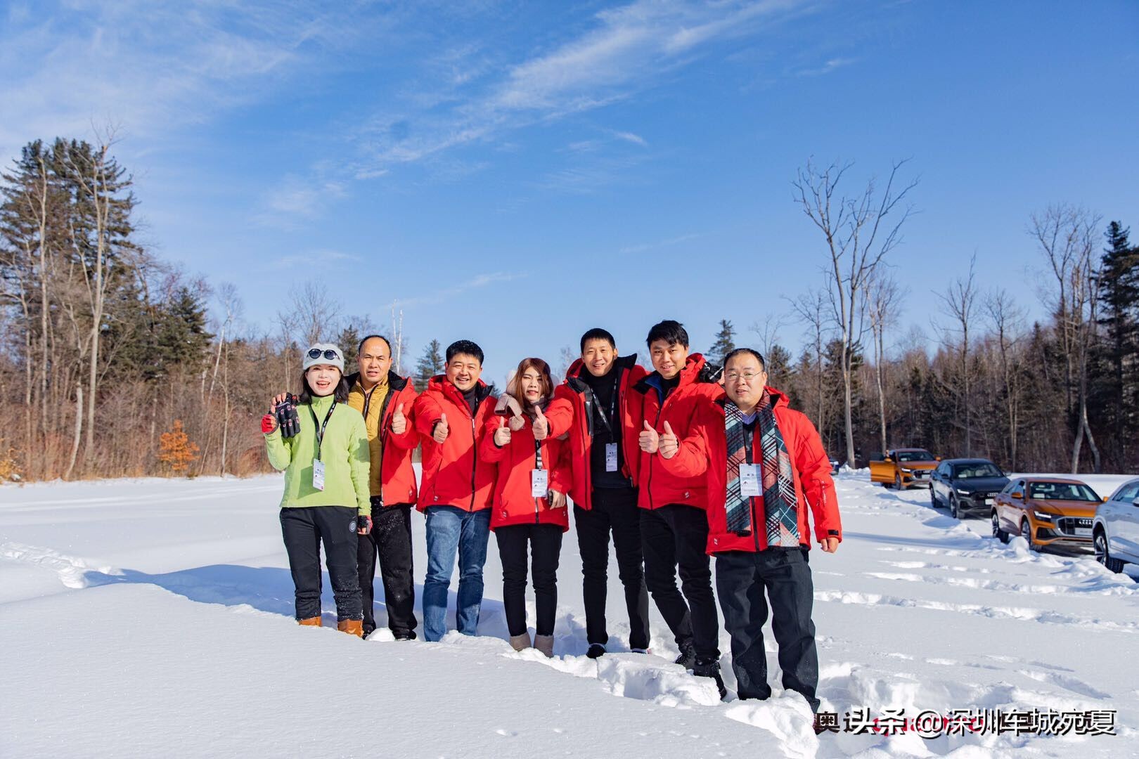 奥迪quattro冰雪试驾,奥迪quattro四驱雪地真实表现