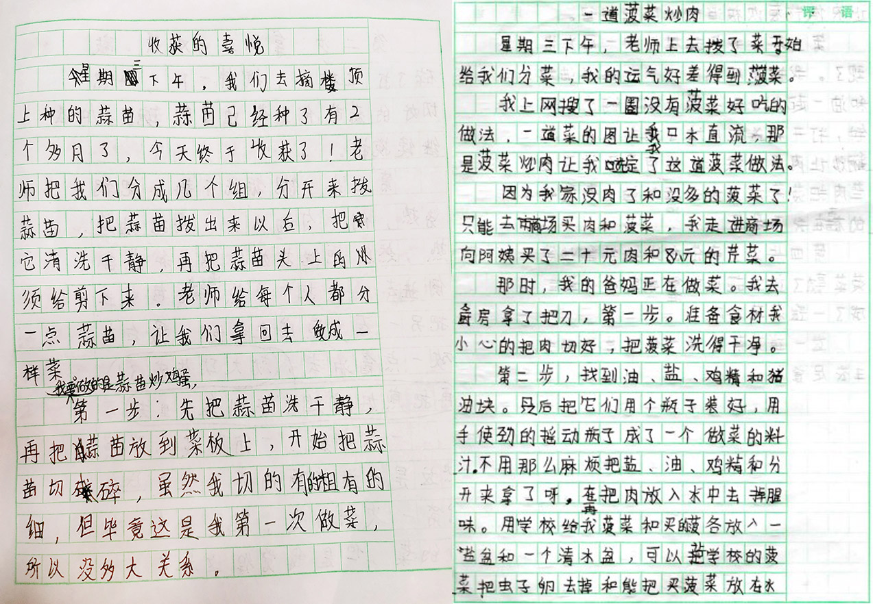 种植课程的实践与探索,种植类小学综合实践活动方案