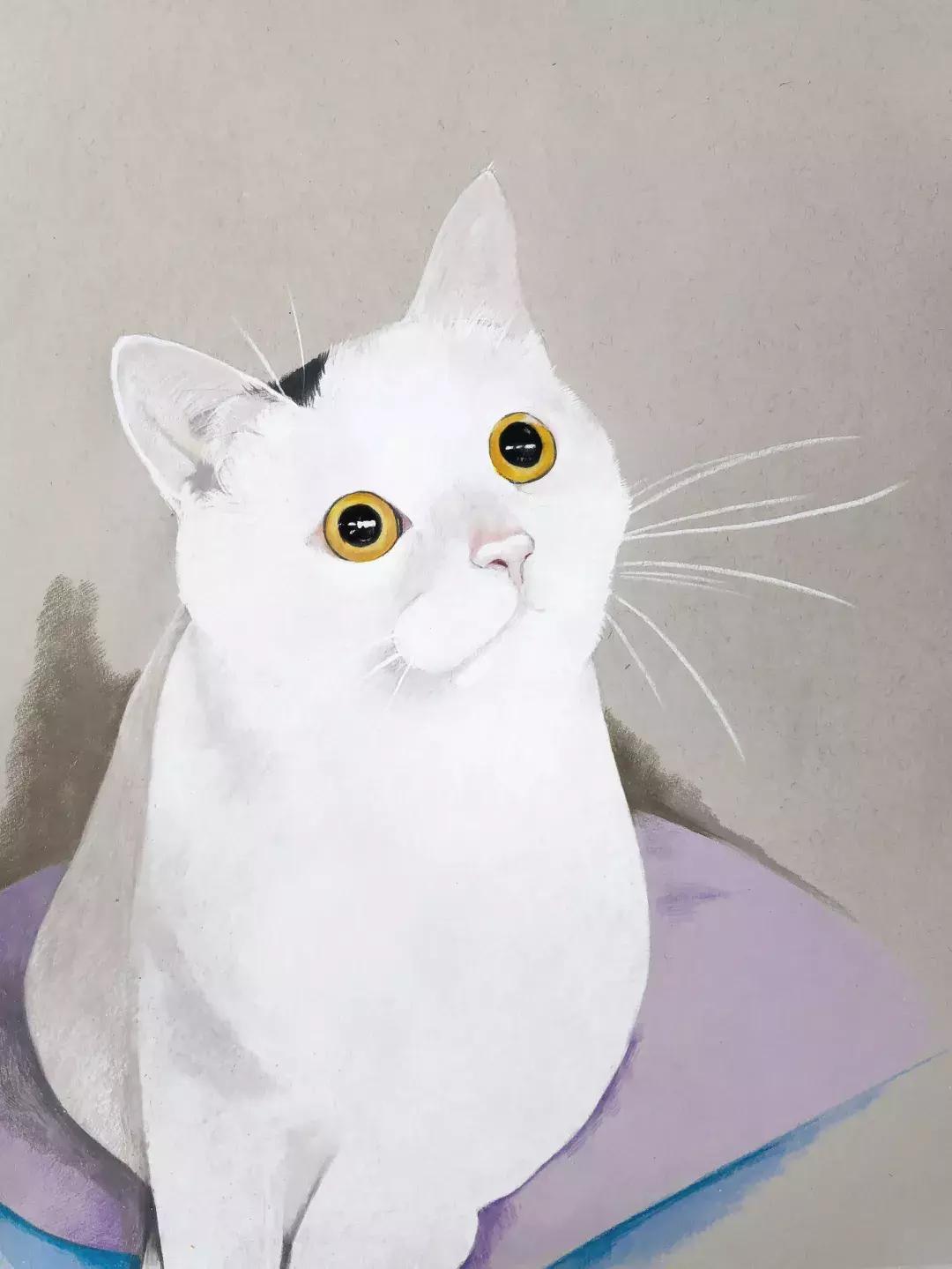 妙笔生猫：羊驼是个啥，比我好看吗？