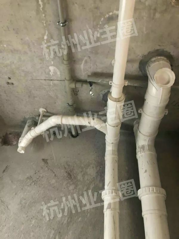 绿都什么意思,绿都包括哪些绿