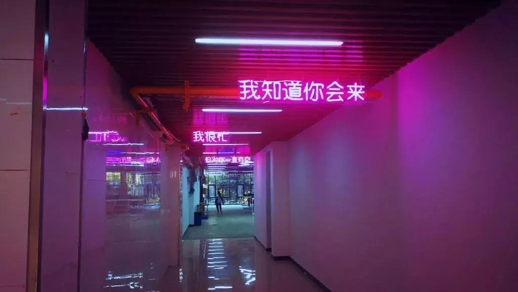 中国最好的大学食堂排名,南京高校餐厅哪家好