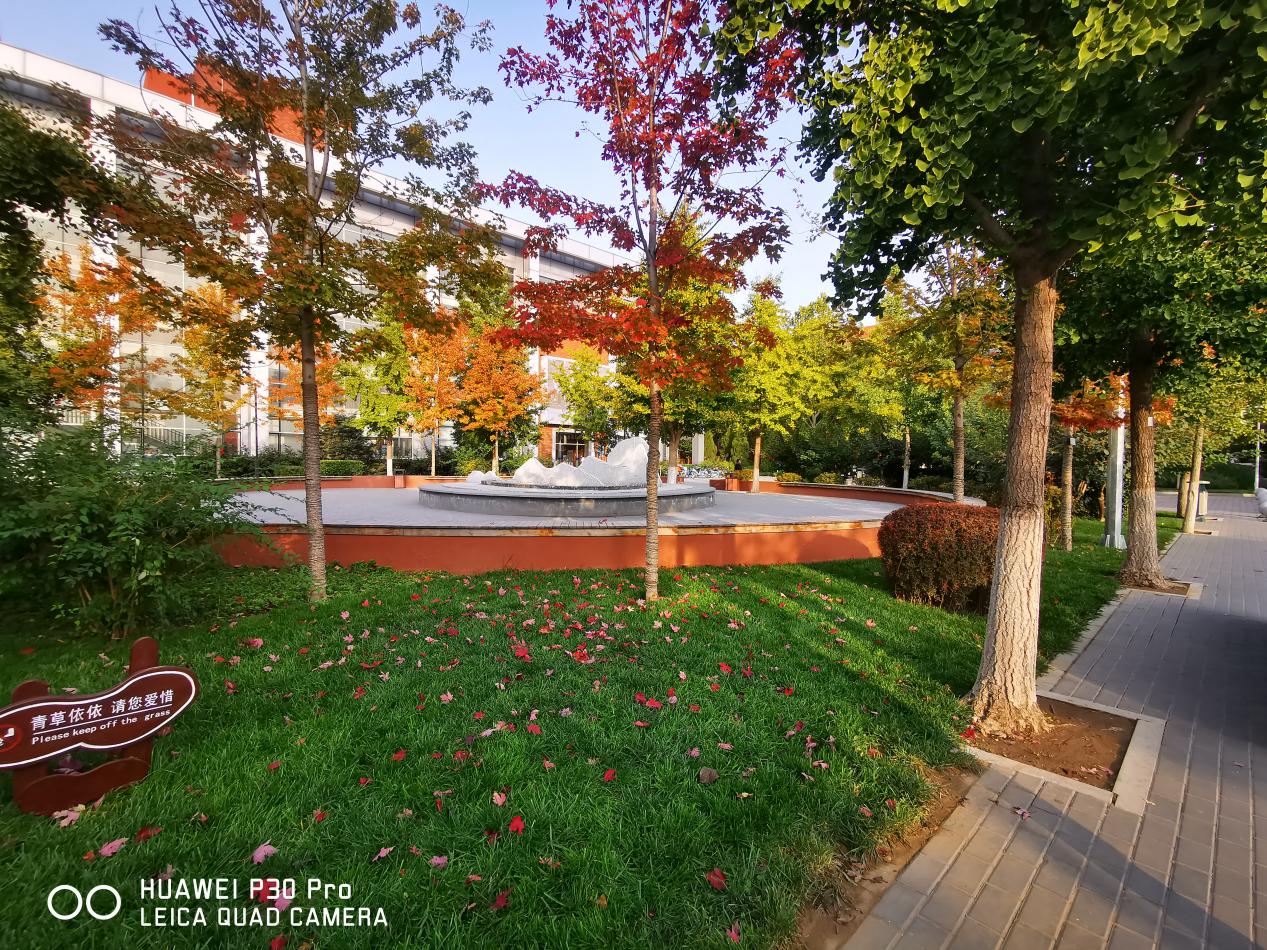 华为p30拍摄高清样张,华为p30最新拍照样张