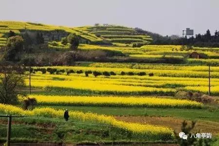 今夜,古角从心中流过