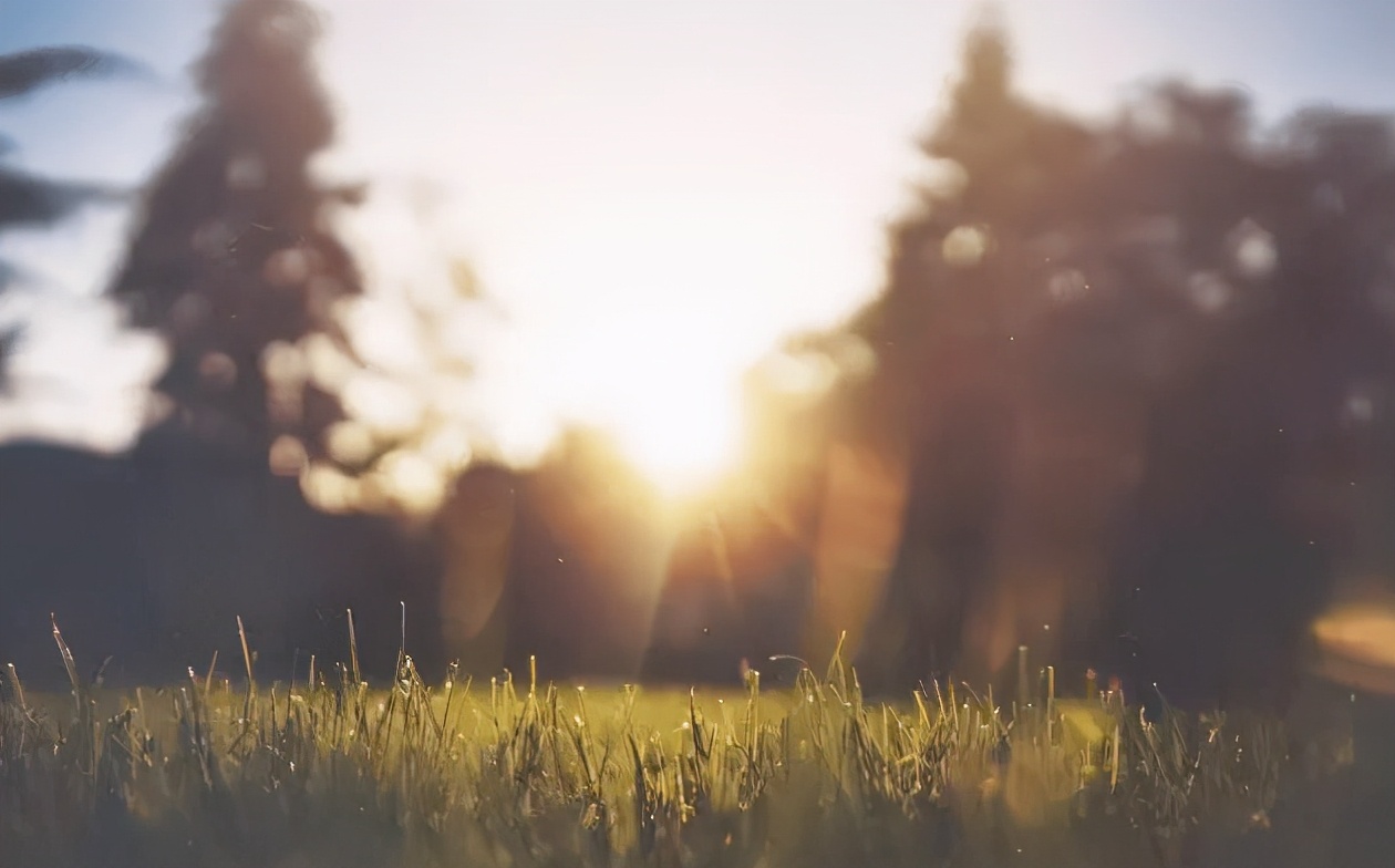 微信营销管理系统,微信营销系统大全