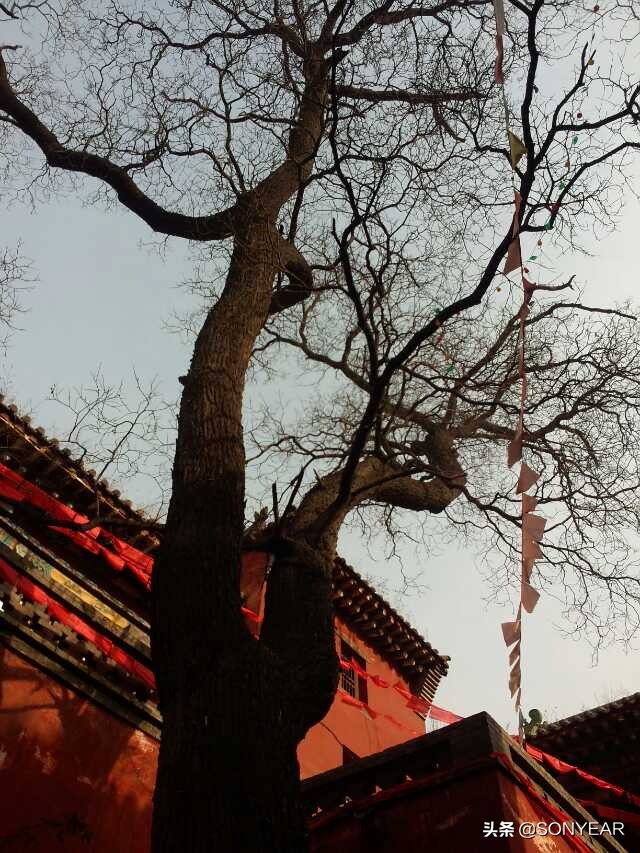 五一一日游记,五一小长假一个人的深度游