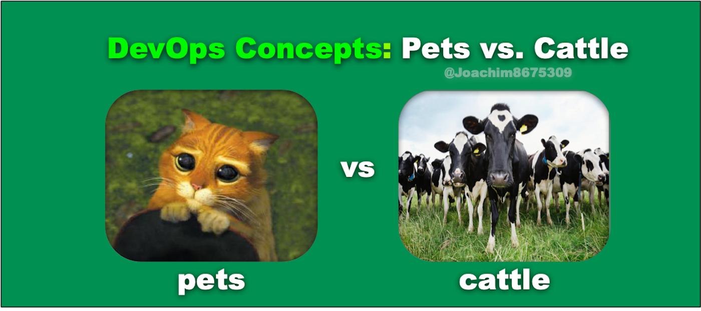 云计算与物联网科普,云计算和爬虫有啥联系