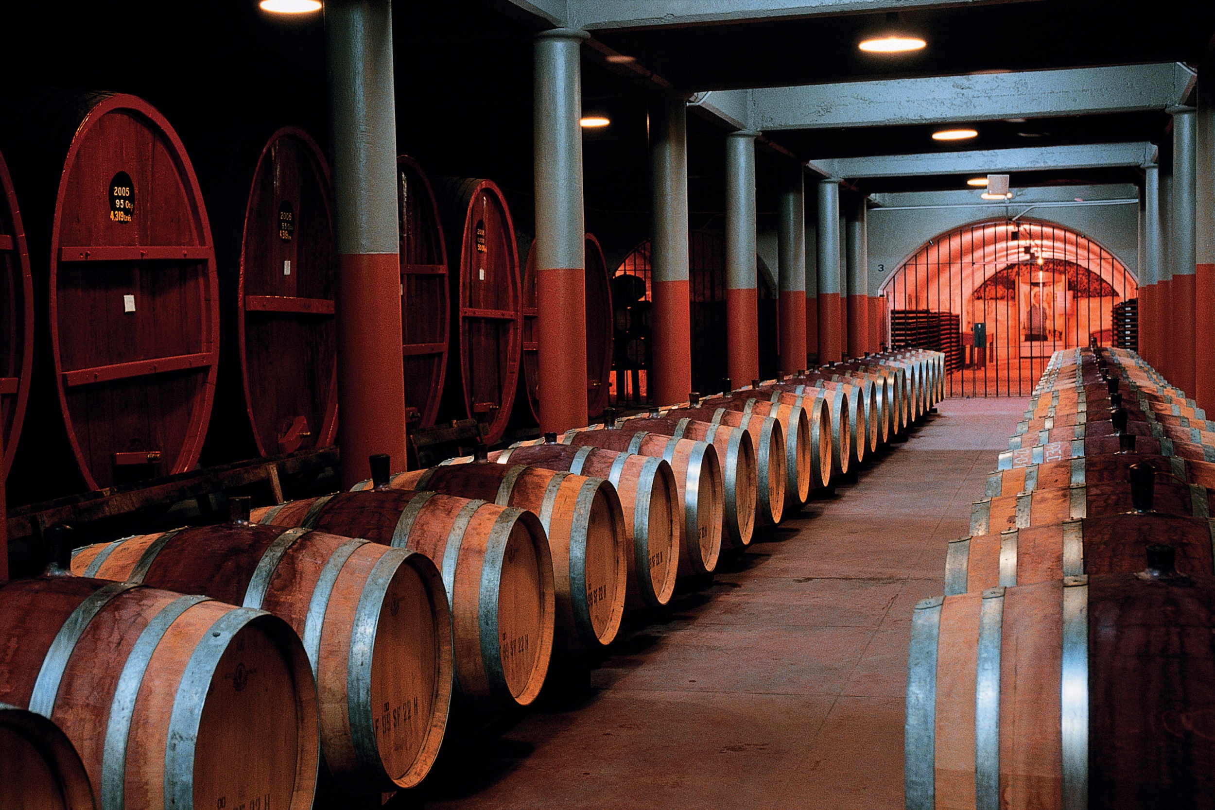 奔富的bin代表什么,奔富酒的bin是什么意思