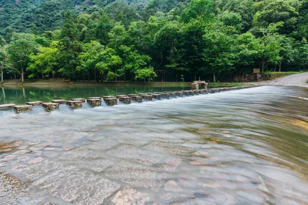 楠溪江的水有多美 (浙江楠溪江风景区怎么样)