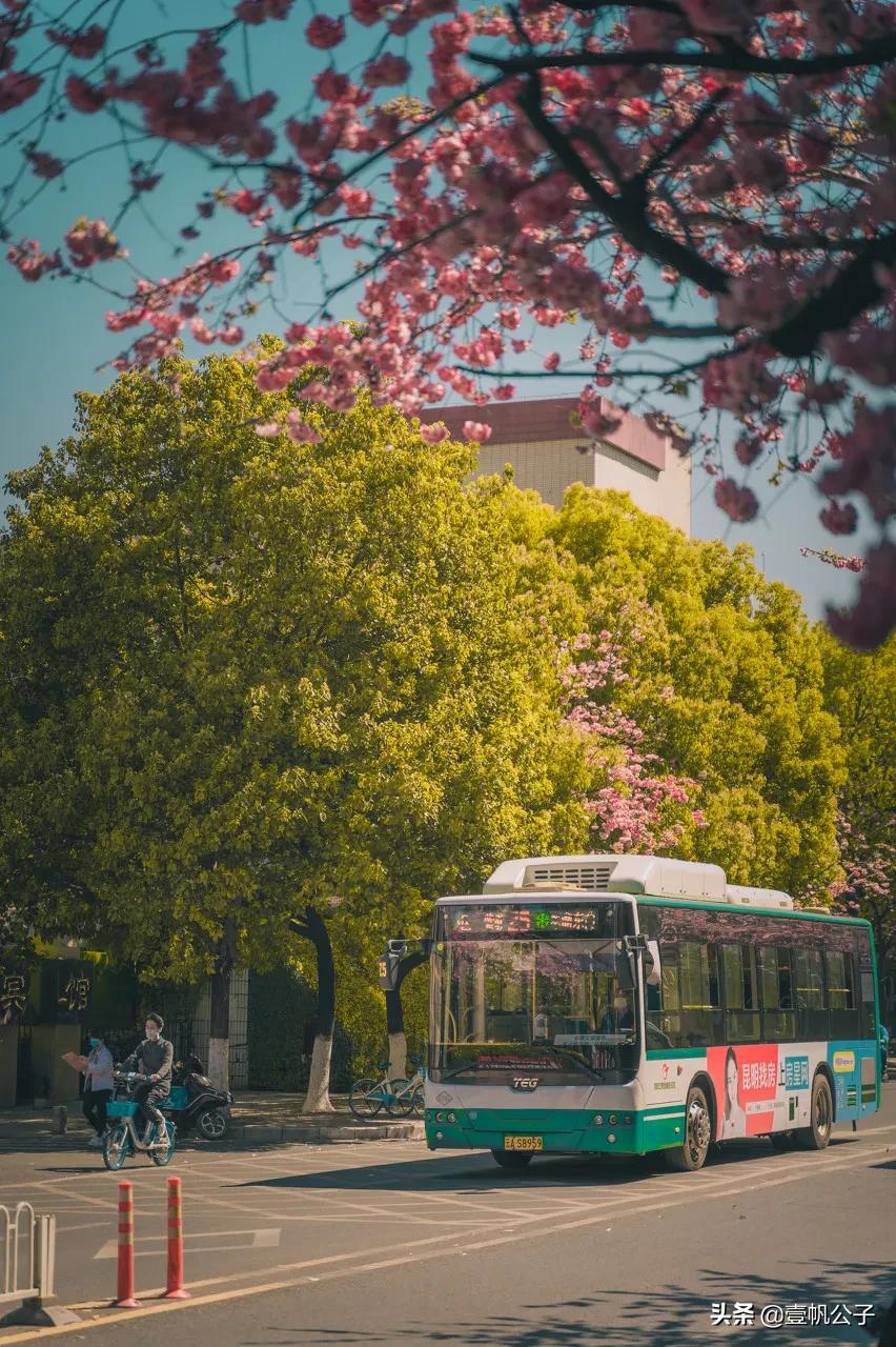 被大理的美景所折服,被丽江的风景美到了