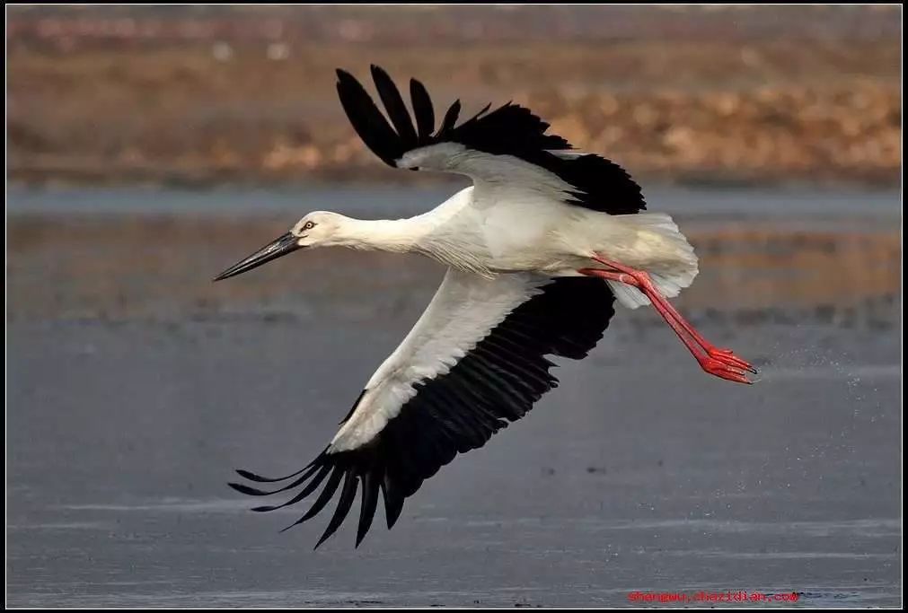 德意志联邦共和国简介（一）