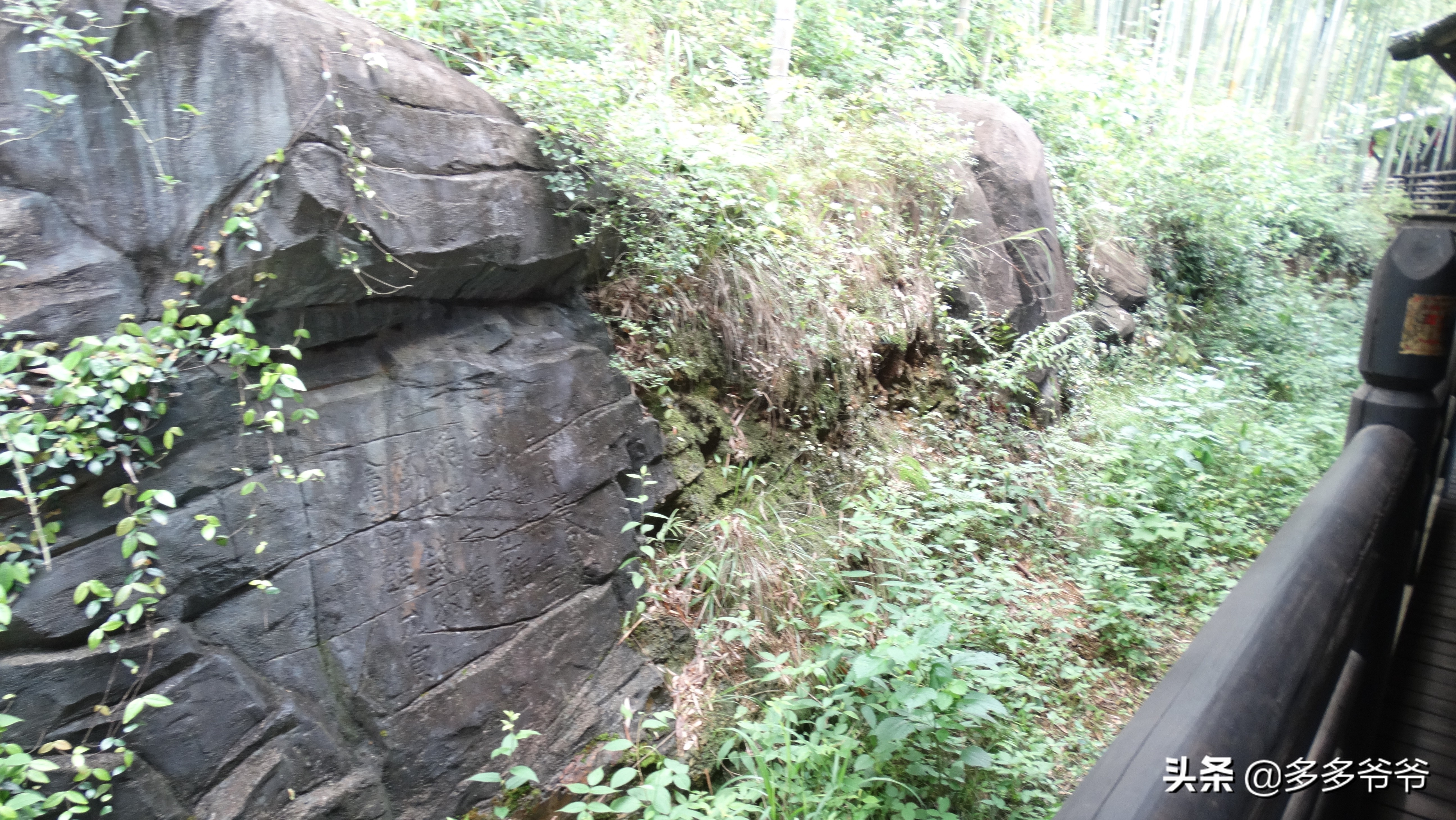 浙江长兴水口镇包吃住农家乐,浙江长兴农家乐包吃住联系电话