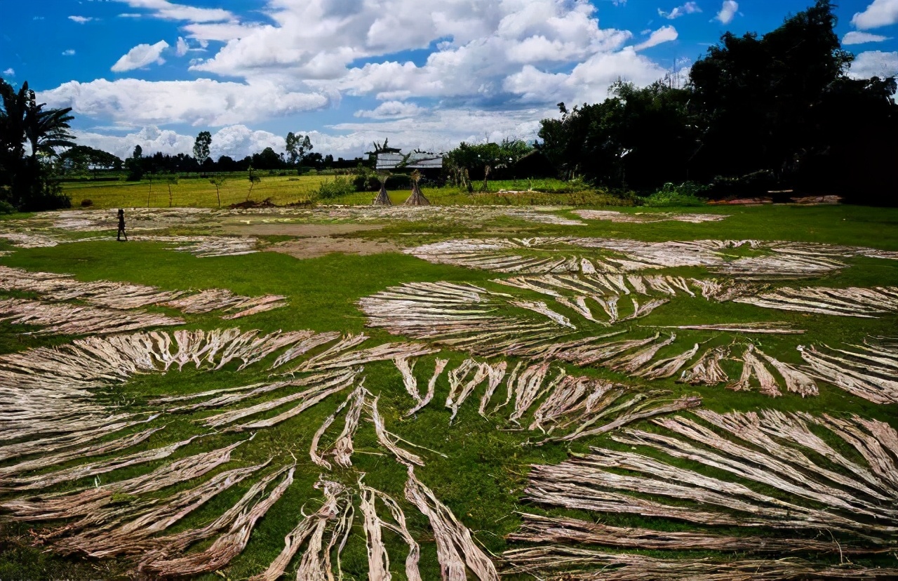 孟加拉国经济总量,孟加拉国历史悠久人口密度大