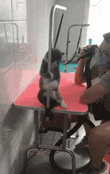 我在学校超市买了一包南京煊赫门收了我19块，我该怎么举报