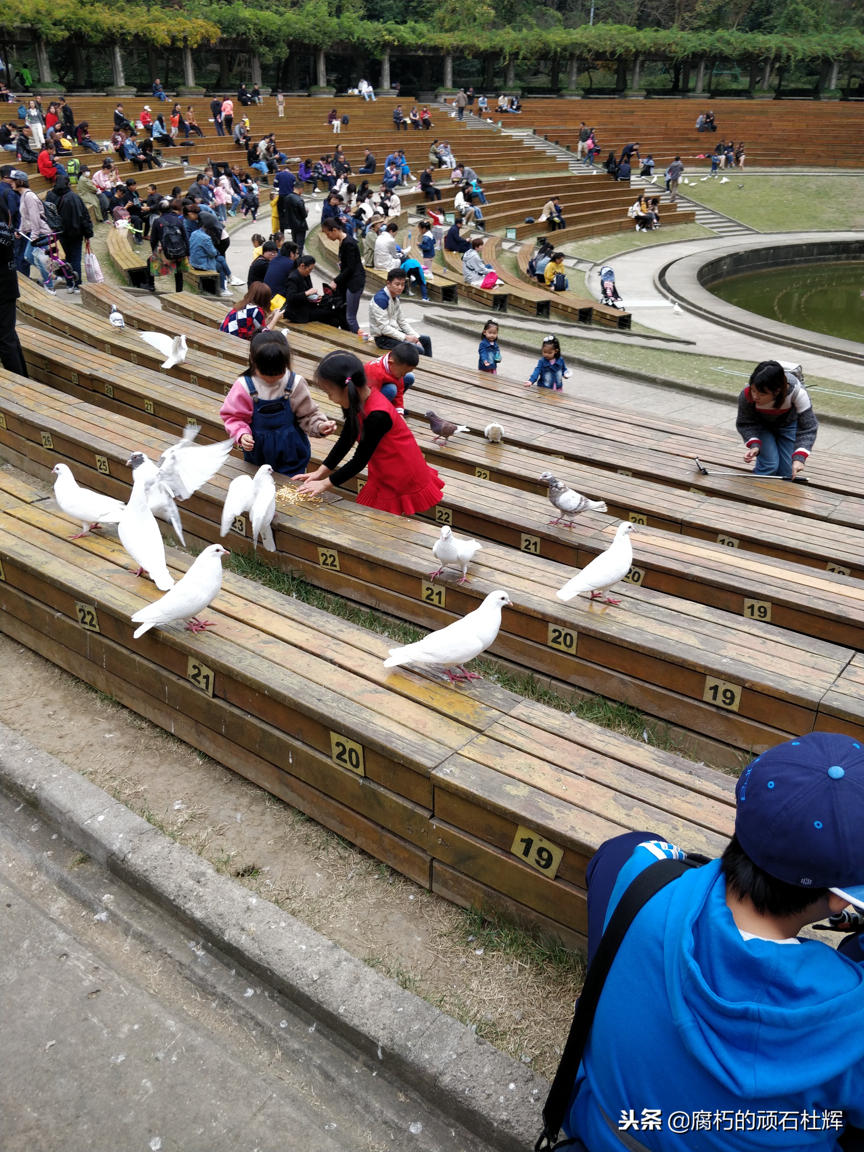 南京三日游攻略穷游 (南京出发三日自驾游)