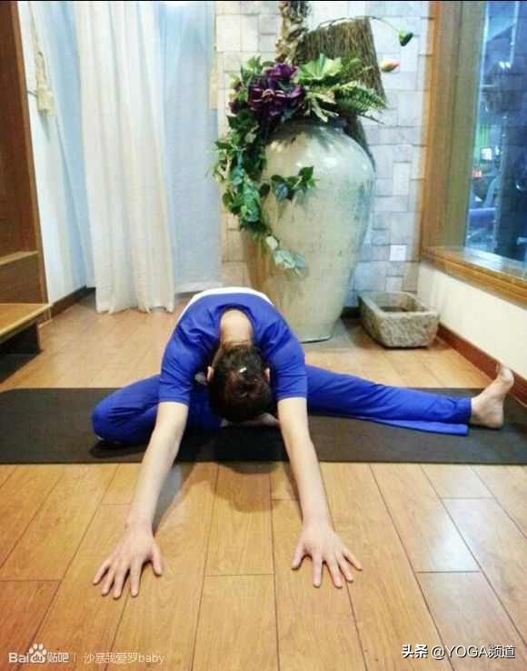 哈他瑜伽的25个体式图,哈他瑜伽26个体式