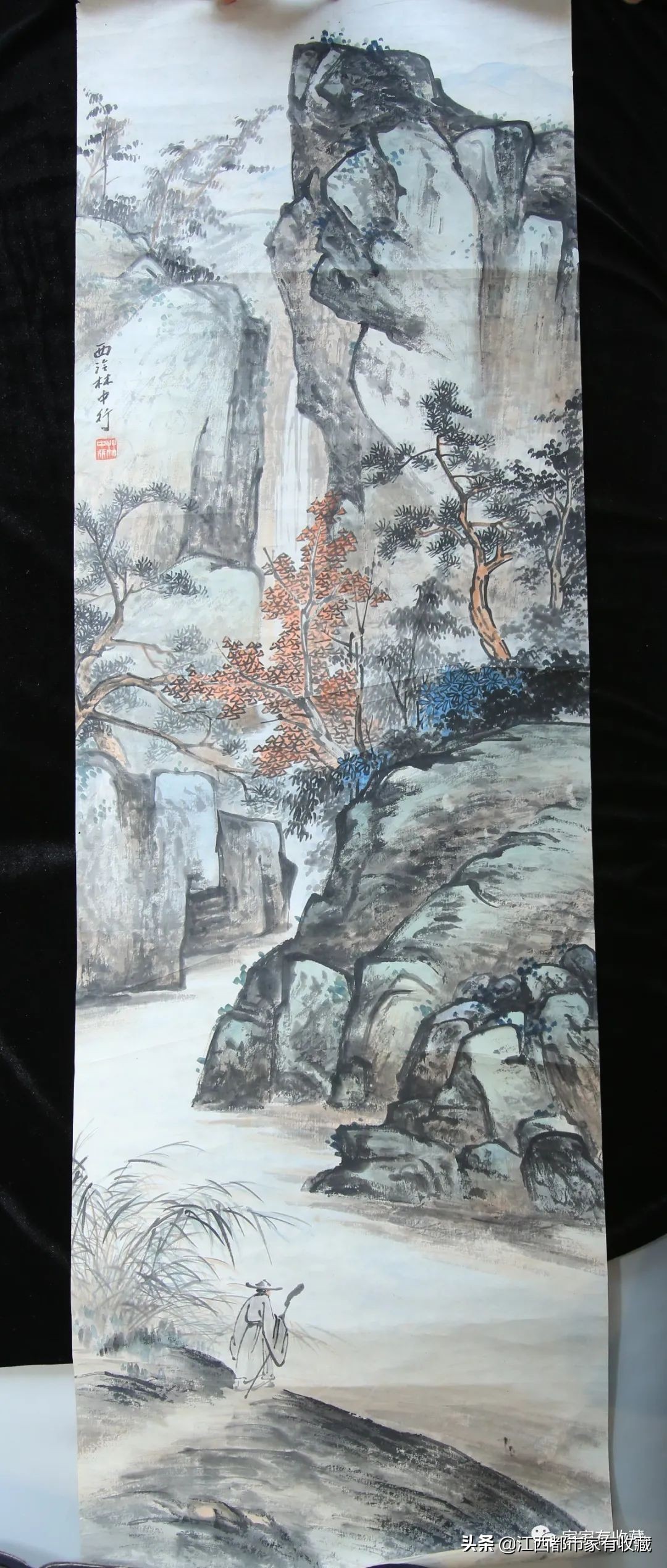 斗宝大赛决赛,斗宝大赛2019夺冠