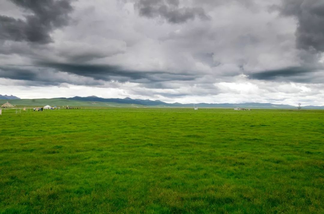 川西若尔盖草原，7月迎来颜值巅峰，温度不到20℃！避暑走起