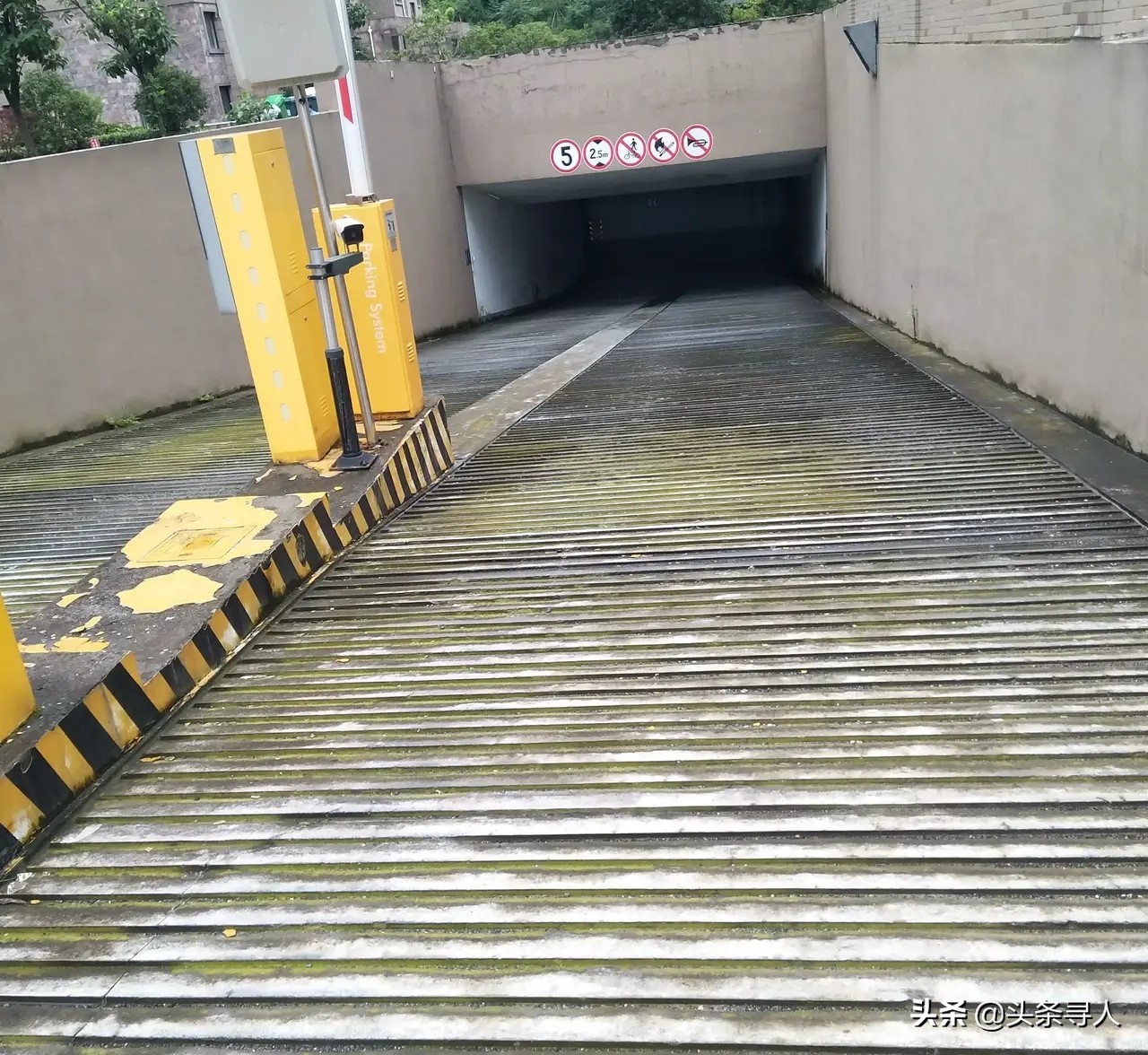 骑车带娃摔倒,江苏妈妈夜间雨天抱孩子摔倒后续