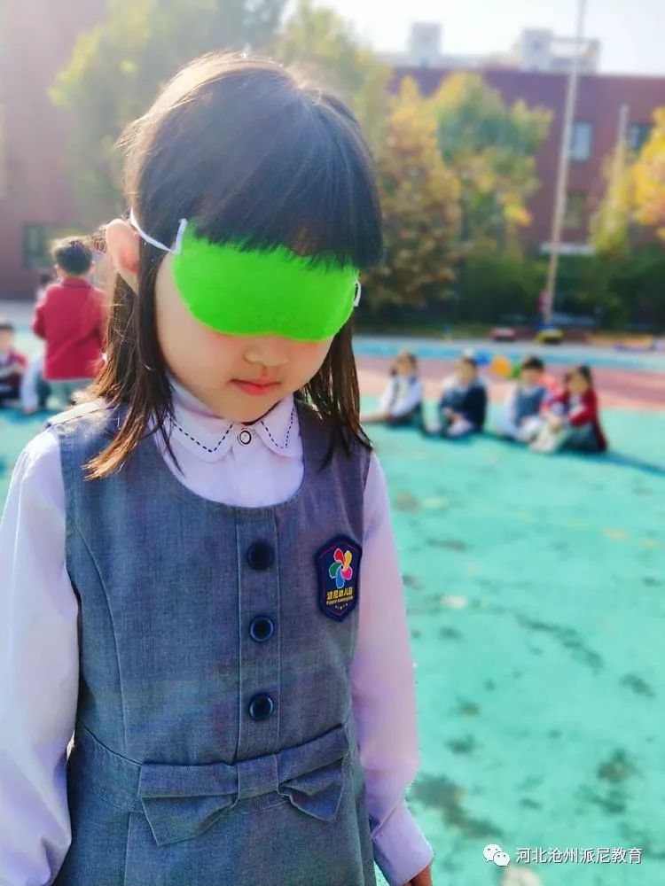 身体大揭秘动画,身体大揭秘