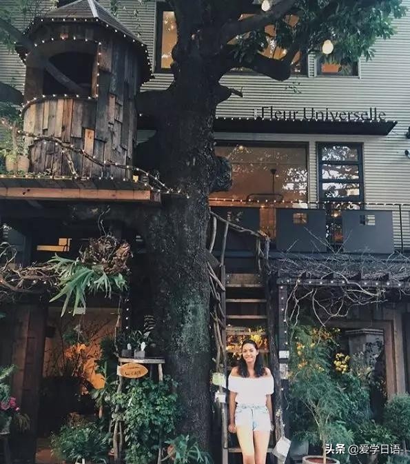 日本花店,日本花店是什么