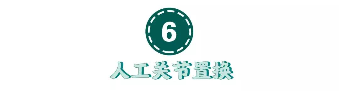 猫咪狗狗骨折了怎么办？扒一扒宠物“骨子里”的那些事