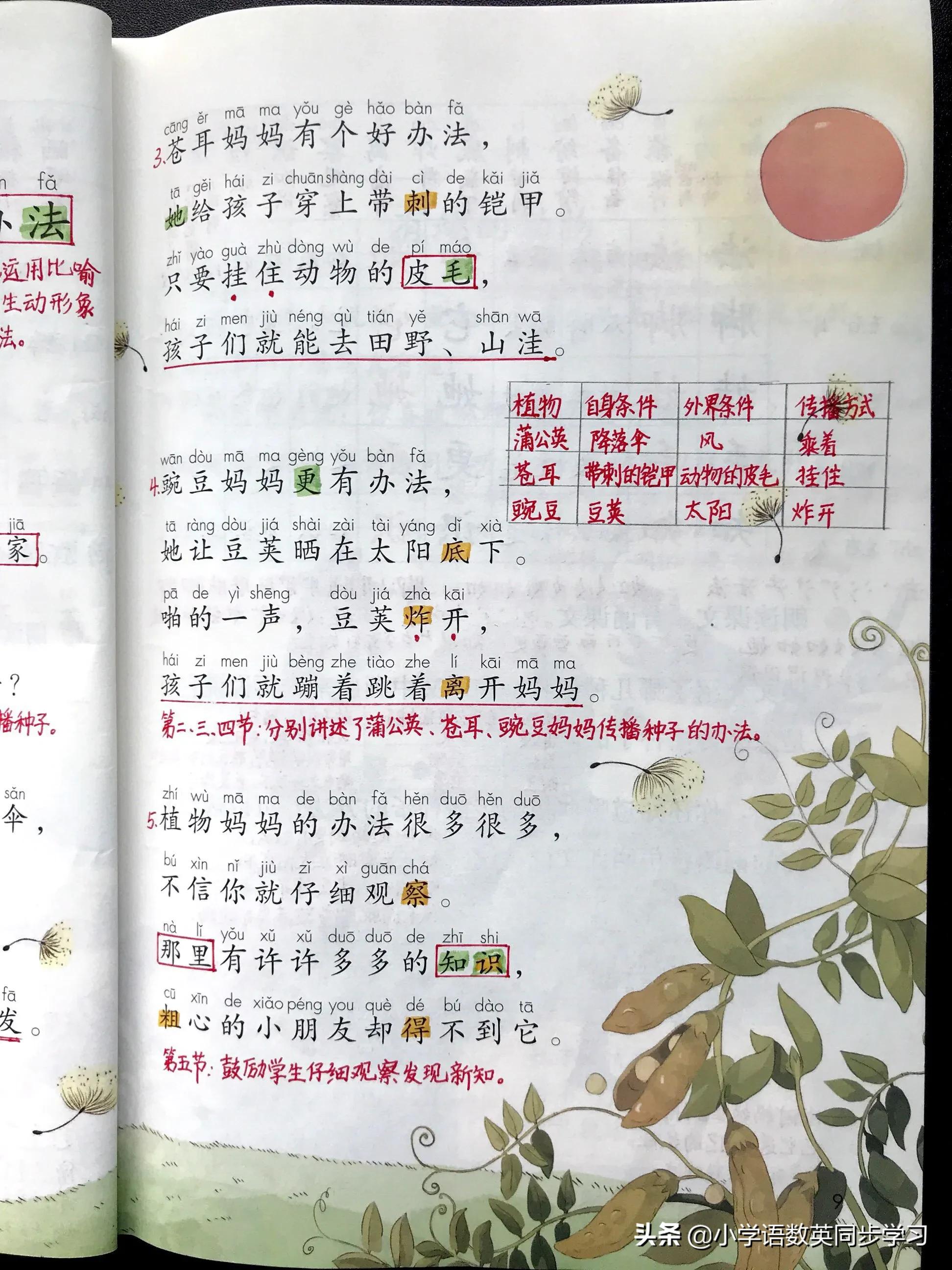 二年级第三课植物妈妈生字组词,二年级上植物妈妈靠什么传播种子