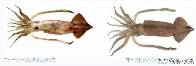 硬核科普全部,硬核科普大全视频