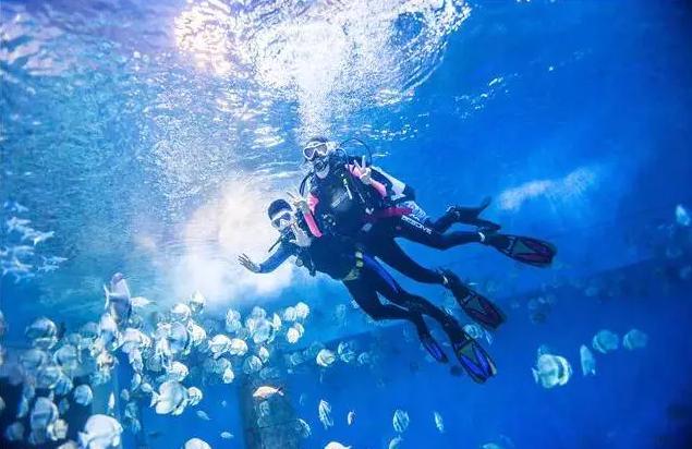 重庆汉海海洋公园入园攻略,汉海海洋公园重庆研学旅行