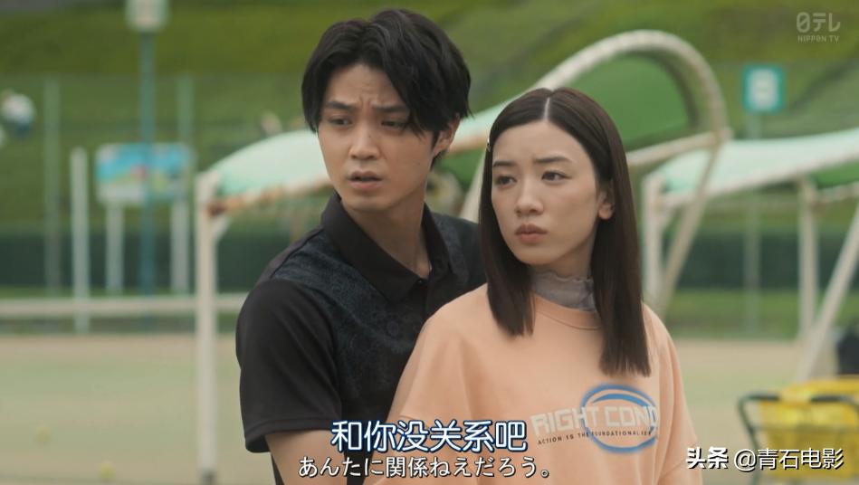 霓虹电视剧大全,倪虹主演的电视剧