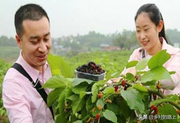 农村今后最赚钱的三种行业,2021年农村发展什么行业好