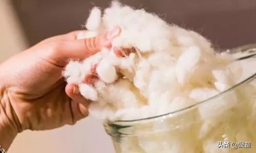 从拿在手里到穿在身上，PET已走在塑料循环的前列