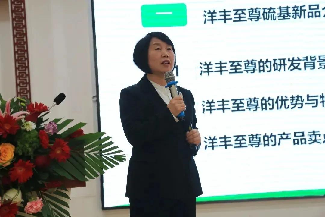 新洋丰肥料农业科技股份有限公司,新洋丰化肥销售直播