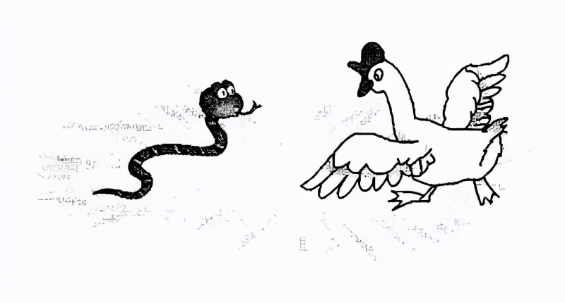 为什么蛇不敢碰鹅屎,为什么蛇不敢咬鹅