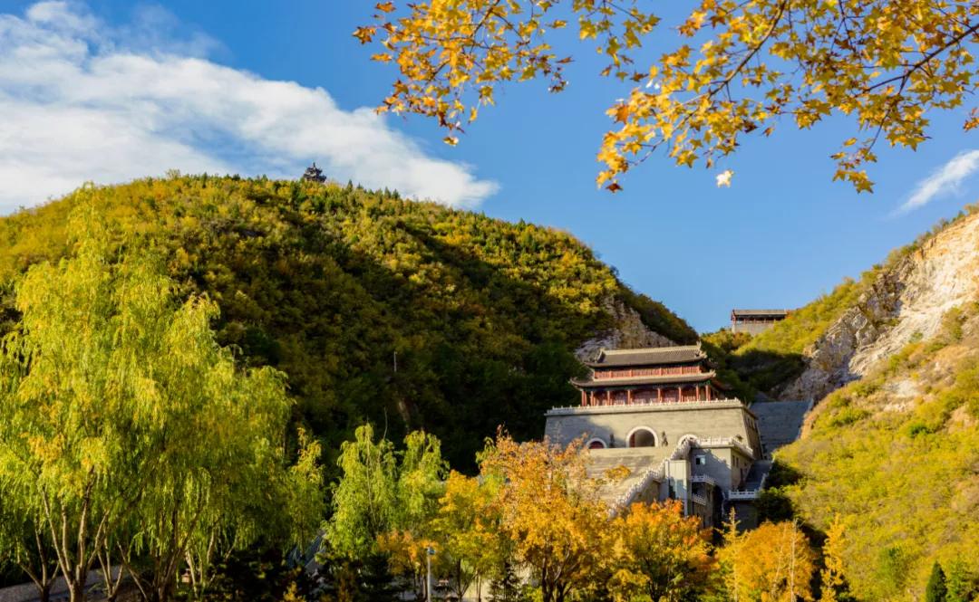 閲戠涓板彴璧忕帺鏀荤暐鍑虹倝,涓板彴閲戠鏂囧寲鏃呮父鏀荤暐