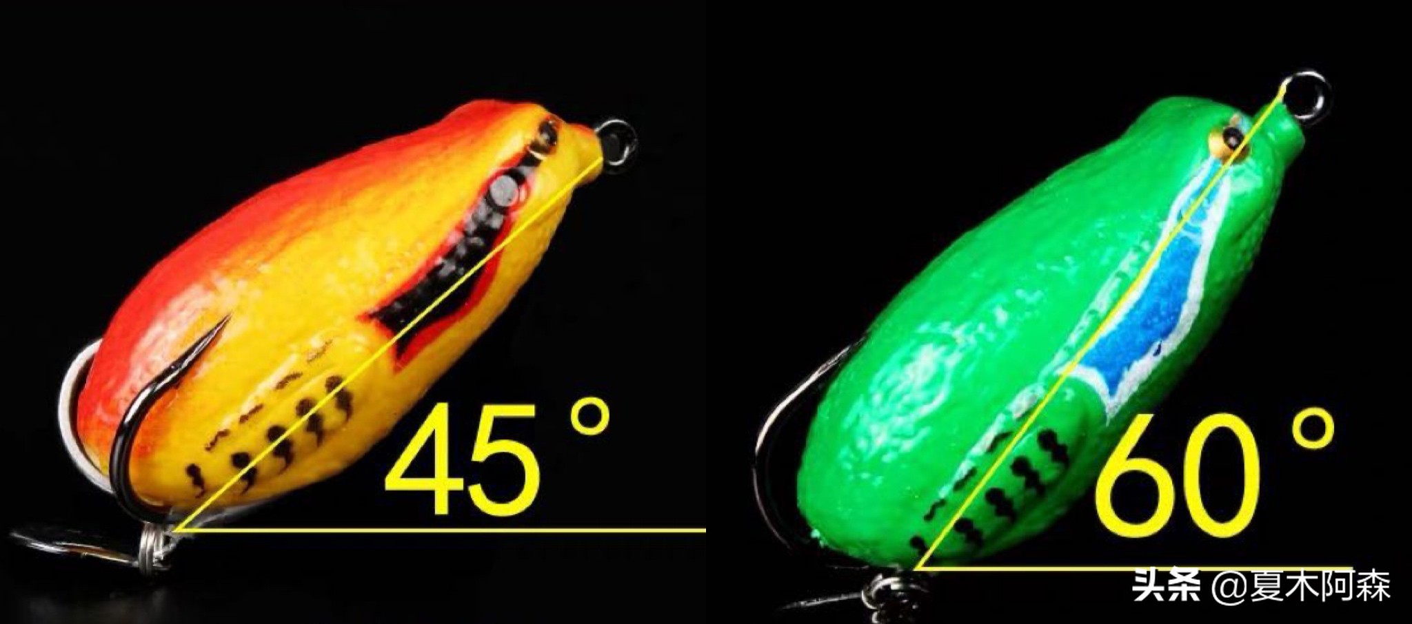 它的身体看起来像一条蛇英文,为什么黑鱼长得像蛇