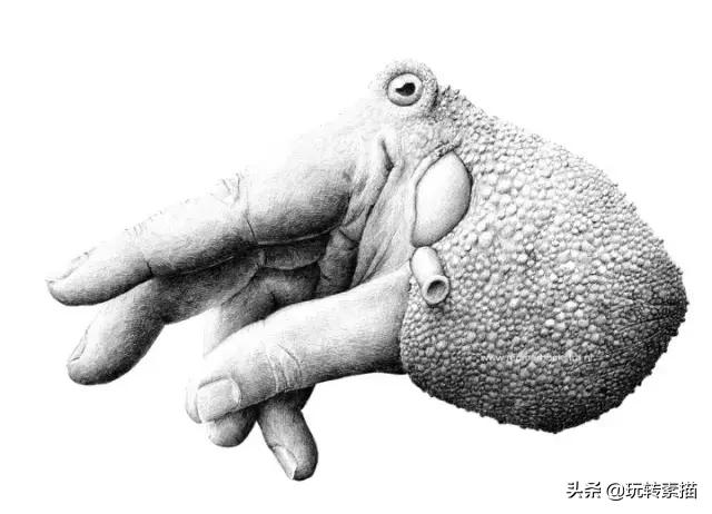 小清新素描黑白插画,看似抽象实则写实的画