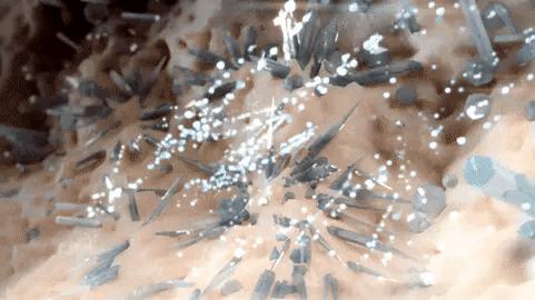 啤酒容易痛风还是白酒容易痛风,啤酒加海鲜痛风是真的吗