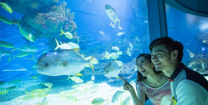 石家庄比亚森自助烤肉万达店,石家庄巴西烤肉自助餐