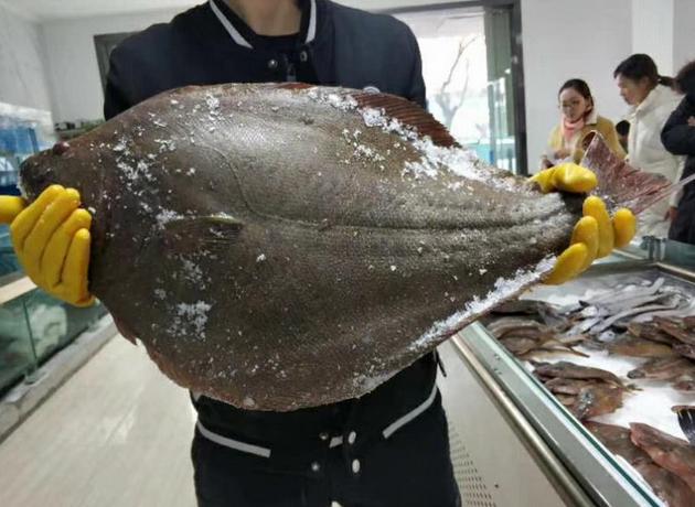 终于让我扒出潍坊尝玖海鲜超市不为人知的秘密！