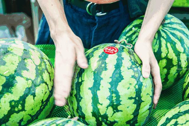 买西瓜要怎么挑,买西瓜技巧听声音高低