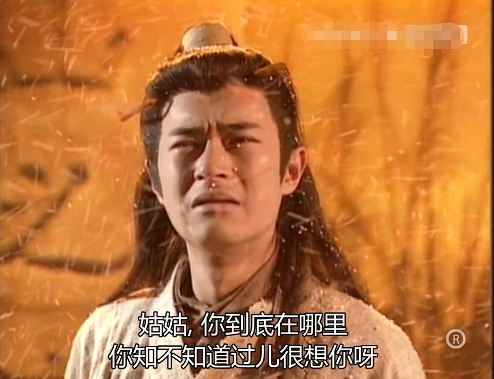 神雕侠侣小龙女外貌描写,神雕侠侣11位小龙女你最喜欢谁