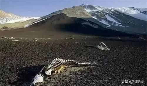 华夏大地人杰地灵地大物博,泱泱华夏大好河山视频