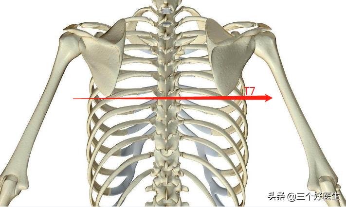 颈椎脊椎的精确定位及触诊技巧,脊椎三步定位图解