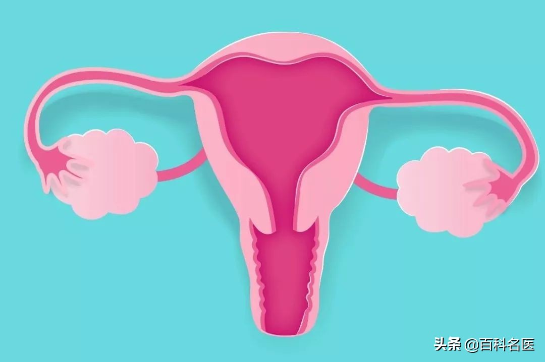 40岁女性胡须明显怎么改善,女性长胡须是什么原因引起的