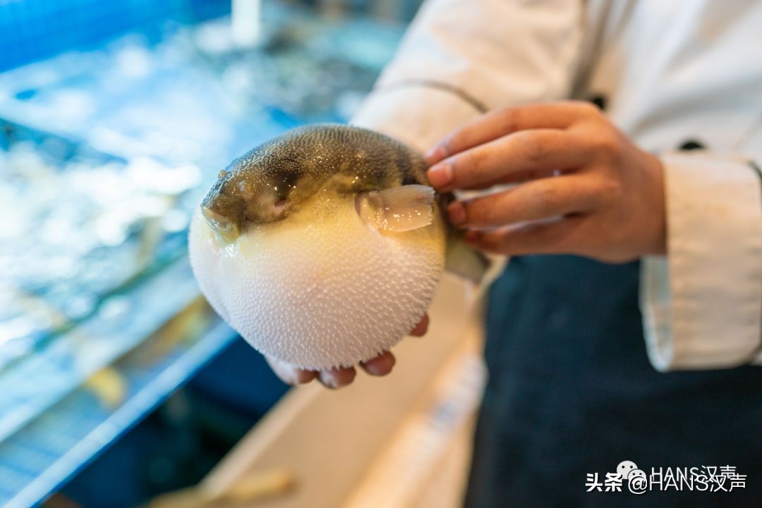 立冬了就要涮火锅吃肉肉抵御寒冷,就要立冬了