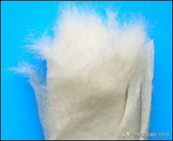 cb-x05e镜头清洁,数码相机镜头清洁方法