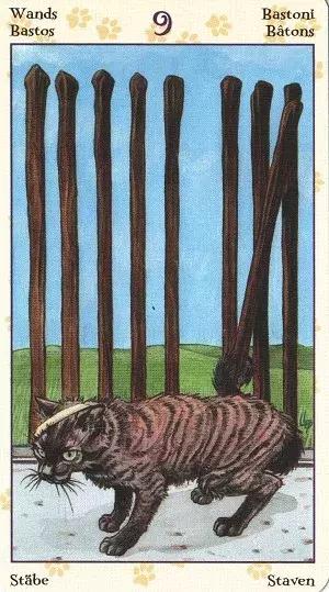 选一张牌看下一个人的感情,凭你第一直觉选一张牌金木水火土